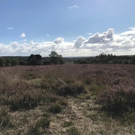 't Boshuisje * Zilven